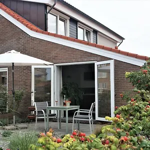 Zeeduin Amsterdam Zandvoort